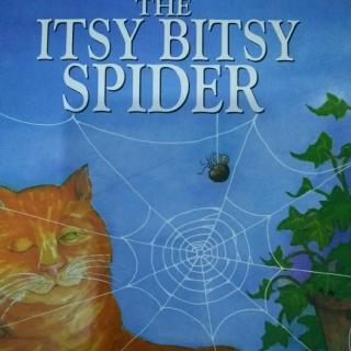 The Itsy Bitsy Spider!