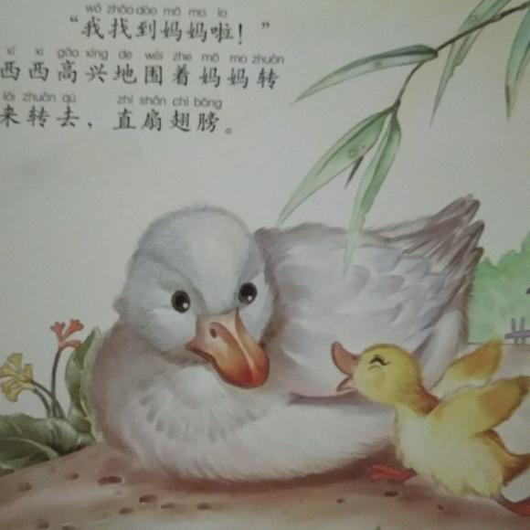小鸭子找妈妈