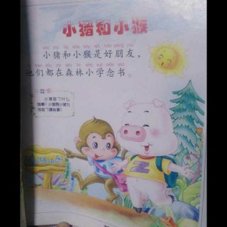 同心协力讲故事～～小猪和小猴