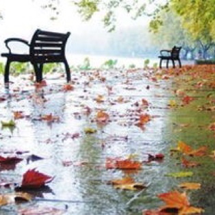 【冷雨】文／梦在深巷    诵／碧海青天