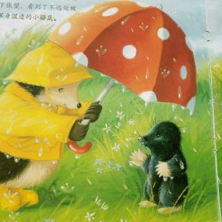 【金豌豆幼儿园田老师讲故事】——雨中的小红伞