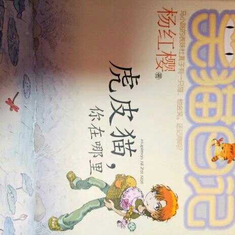 笑猫日记《虎皮猫,你在哪里?