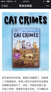 Cat Crimes1