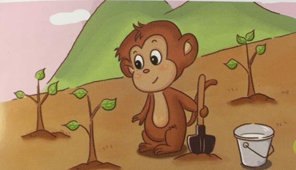 小猴种果树绘本图片