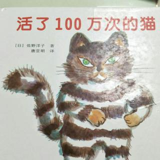 活了100万次的猫