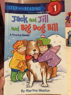 D173 jack and jill and big dog bill