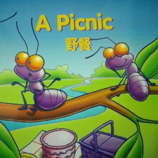 A Picnic