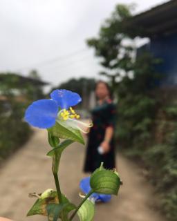 热爱生命，相信未来