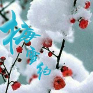 梅与雪的重逢