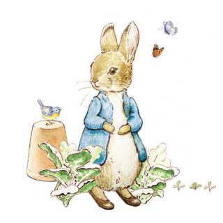 【Sherry唱童谣】Little Peter Rabbit