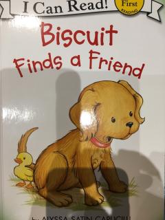 20171019 Alisa (Biscuit Finds a Friend)