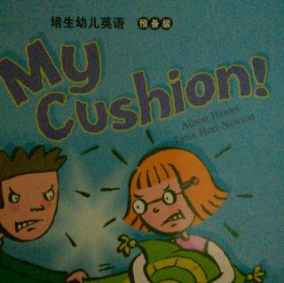 My cushion