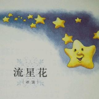 流星花