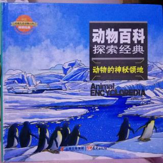 动物百科探索经典-南极