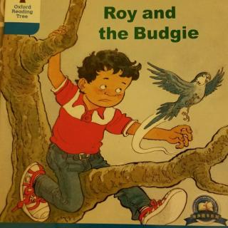 3–27 Roy and the Budgie