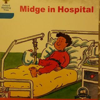3–25 Midge in Hospital
