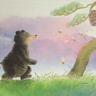 《石头熊🐻》绘本故事~小熊老师
