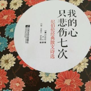 《我的生命只悲伤七次》2