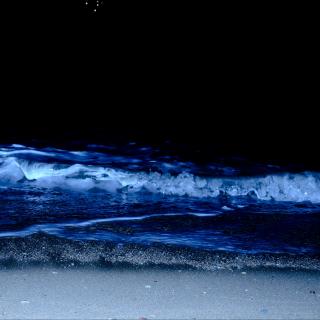 Pebble Beach-海浪声