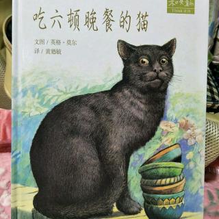 吃六顿晚餐的猫