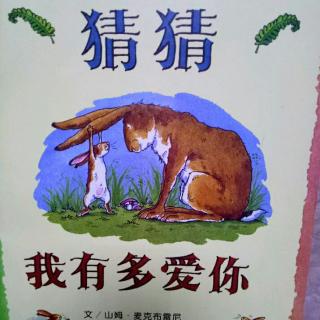 猜猜我有多爱你