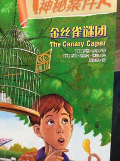 The Canary Caper