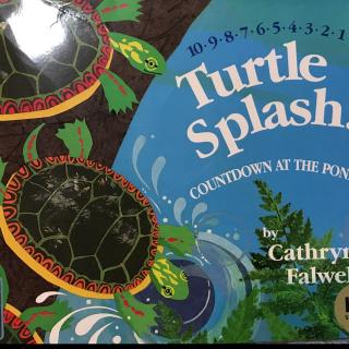 Turtle splash