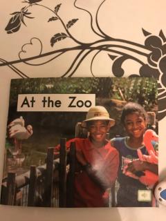 《At the Zoo》