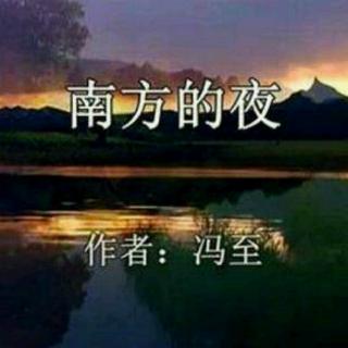 风儿:南方的夜（冯志）