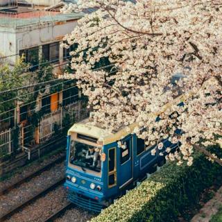 no.11 盔甲与软肋