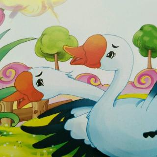 小百灵幼儿园绘本故事《野鹅和白鹤》