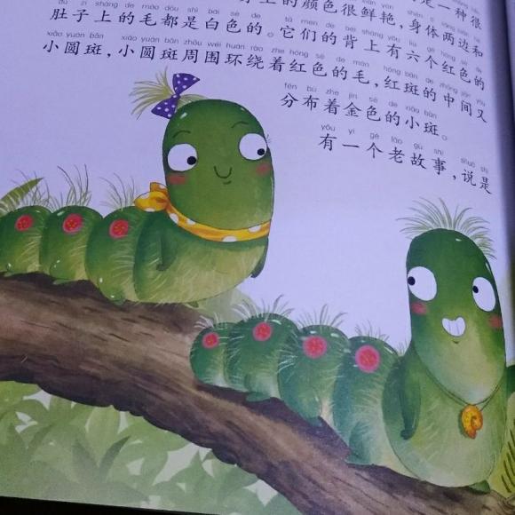 昆虫记之二十二排队的松毛虫