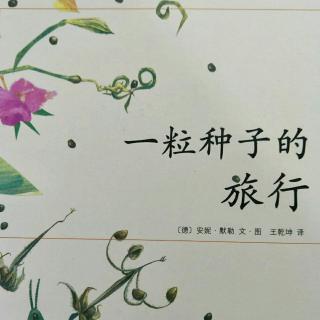 一粒种子的旅行3-张书赫