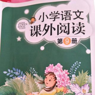 《课外阅读》12