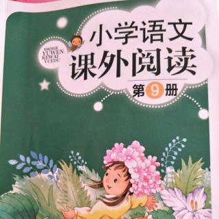 《课外阅读》13