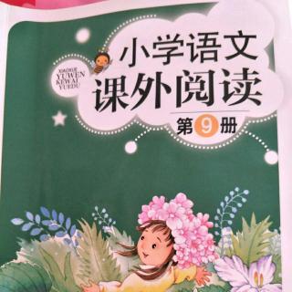 《课外阅读》14