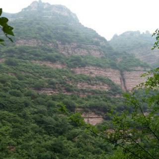 秋的原野