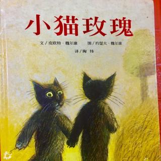 绘本——《小猫玫瑰》