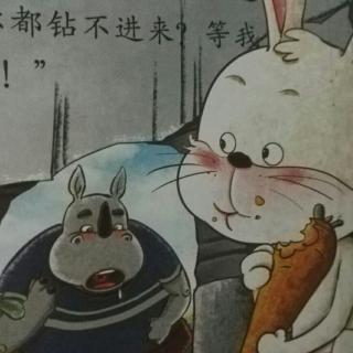 兔子🐰和犀牛🐮