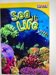 Sea Life