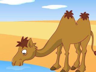 儿童睡前故事—爱美的小骆驼