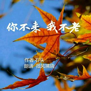 《你不来 我不老》作者 石头