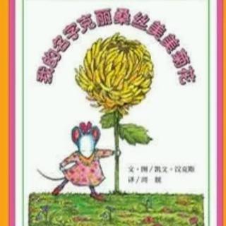 95.《我的名字克里桑丝美美菊花》