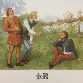 童话故事《金鹅》