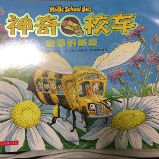 20171023神奇校车之奇妙的蜂巢