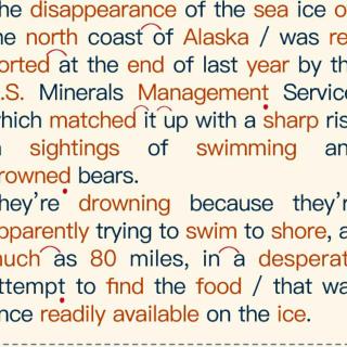 drowned bears