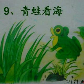 9《青蛙看海》