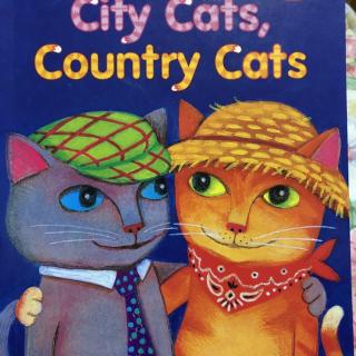 City cats,country cats