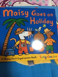 maisy goes on holiday