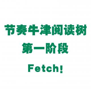 【节奏牛津阅读树】第一阶段 Fetch